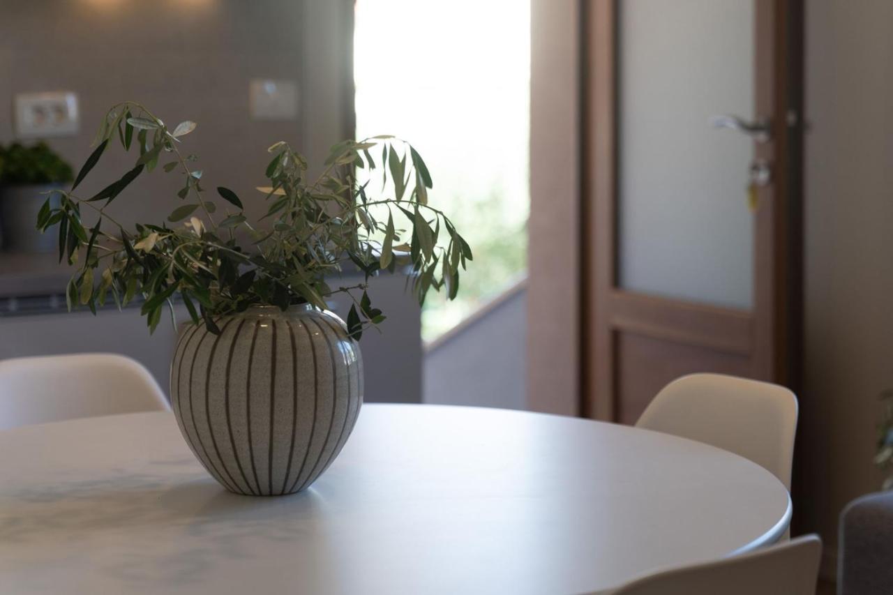Apartments Alloro By Seeadria Agency Novigrad Istria エクステリア 写真